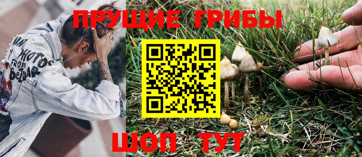 Псилоцибиновые грибы Psilocybine cubensis Реж