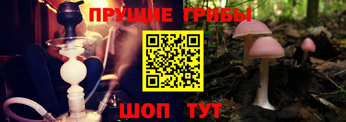Реж  Галлюциногенные грибы мухоморы  Галлюциногенные грибы мухоморы  Вход с VPN 